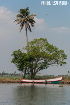 Back Waters - Kerala - India